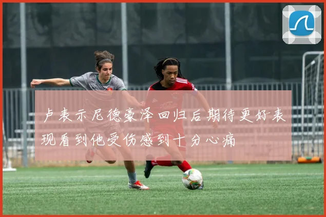 卢表示尼德豪泽回归后期待更好表现看到他受伤感到十分心痛