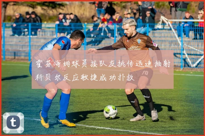 霍芬海姆球员接队友挑传迅速抽射科贝尔反应敏捷成功扑救