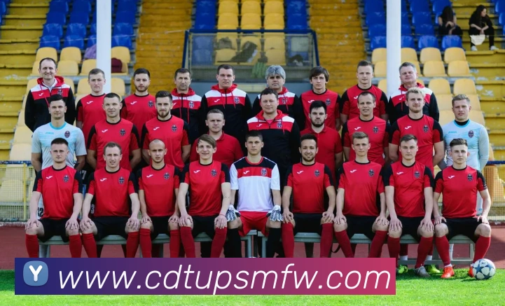 米兰app登录入口发展历程